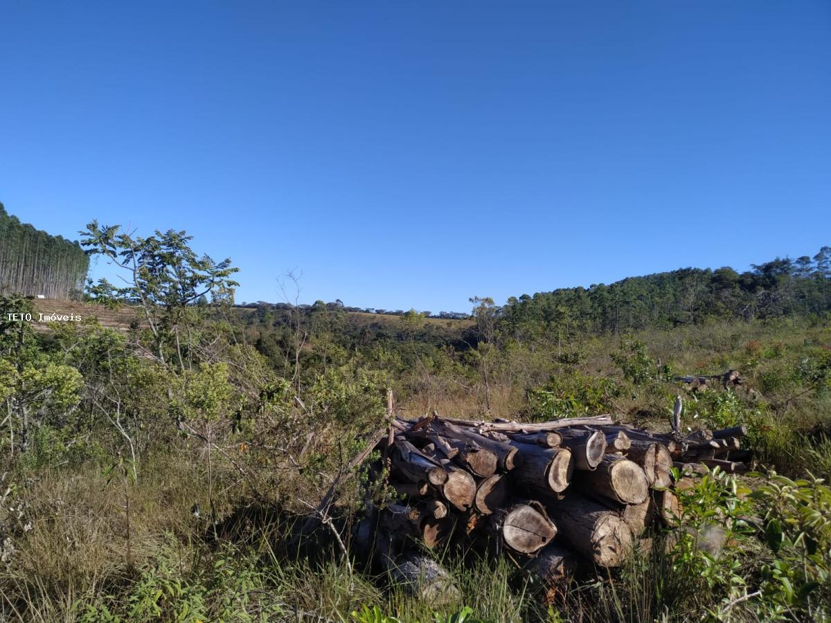 Fazenda à venda, 192m² - Foto 1