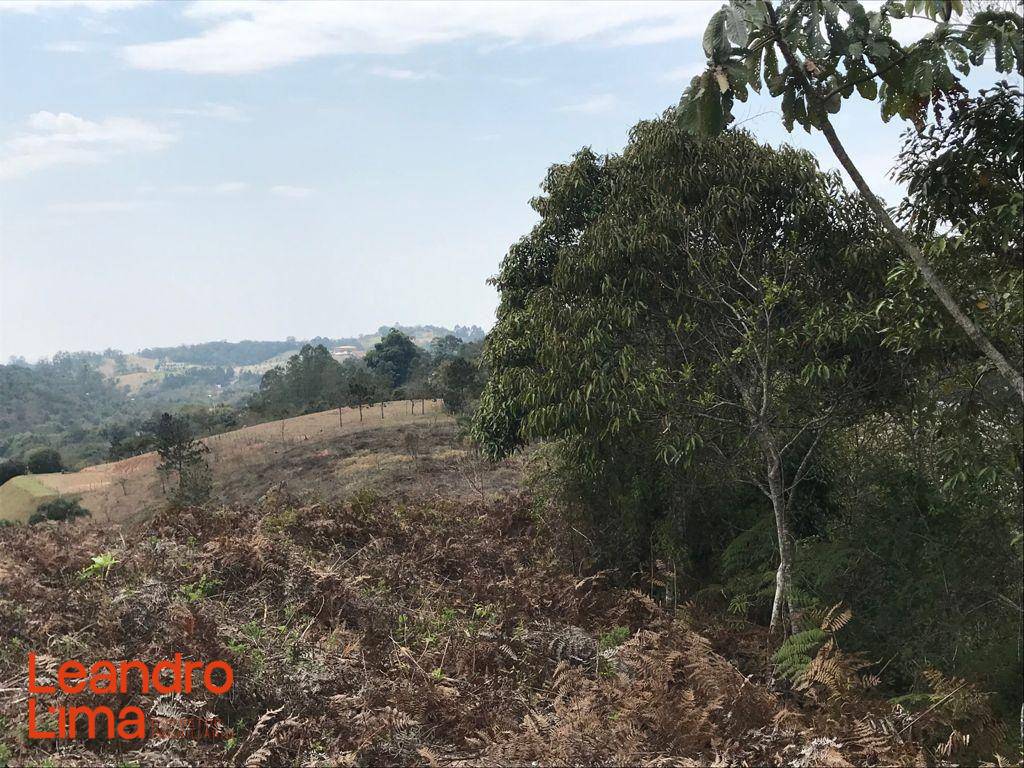 Terreno, 4 hectares - Foto 11