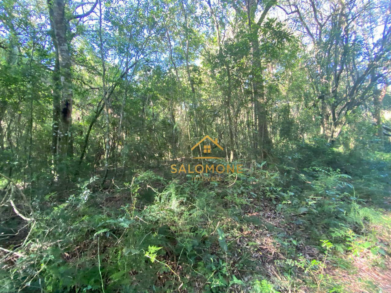 Terreno, 1100 m² - Foto 4