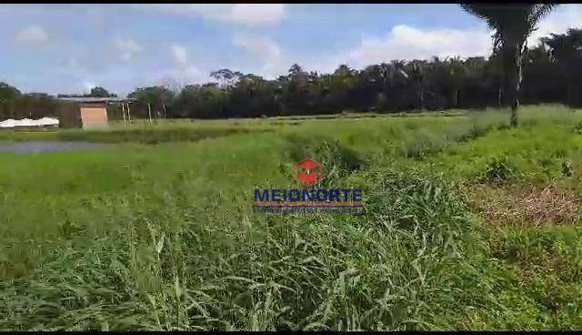 Fazenda à venda com 2 quartos, 300000M2 - Foto 23