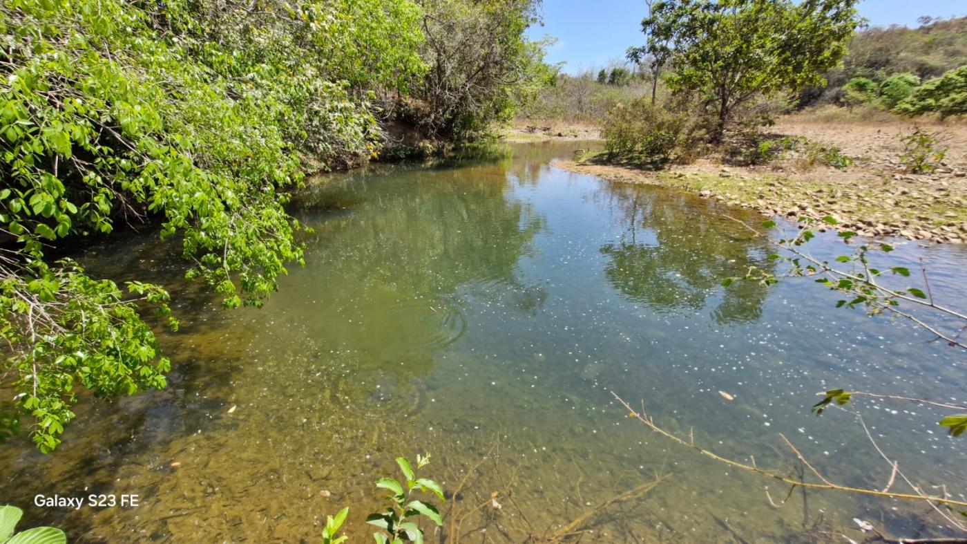 Fazenda à venda com 4 quartos, 1180000m² - Foto 3