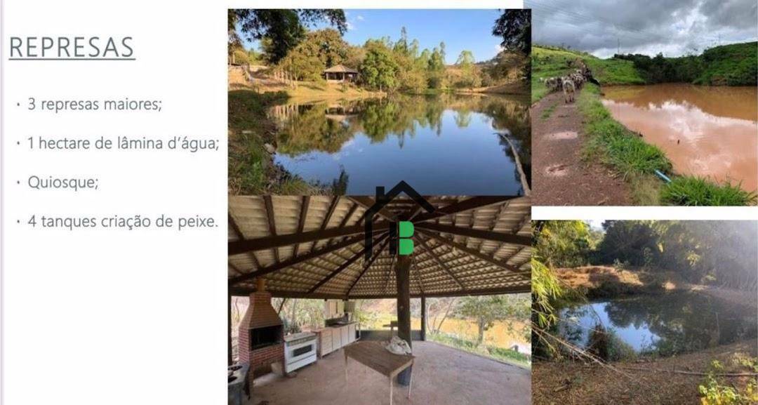 Fazenda à venda com 4 quartos, 450000M2 - Foto 21