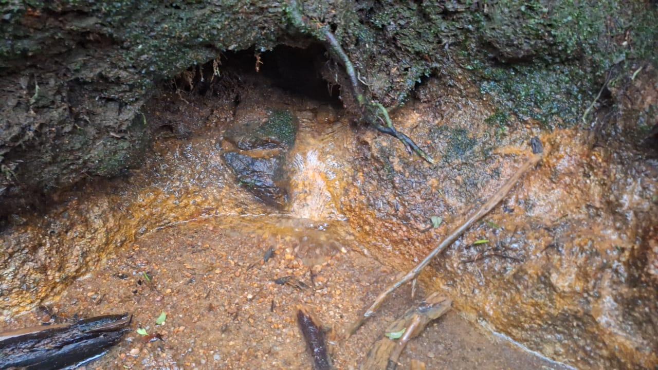 Loteamento e Condomínio à venda, 160000m² - Foto 11