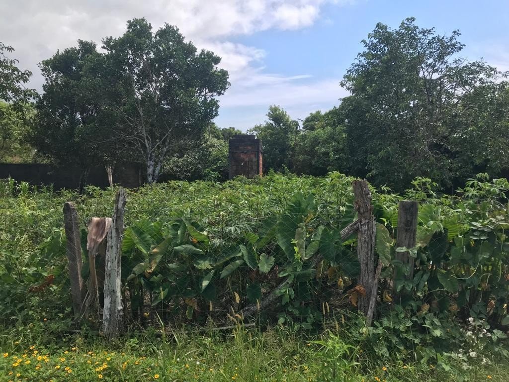 Terreno à venda, 360m² - Foto 4