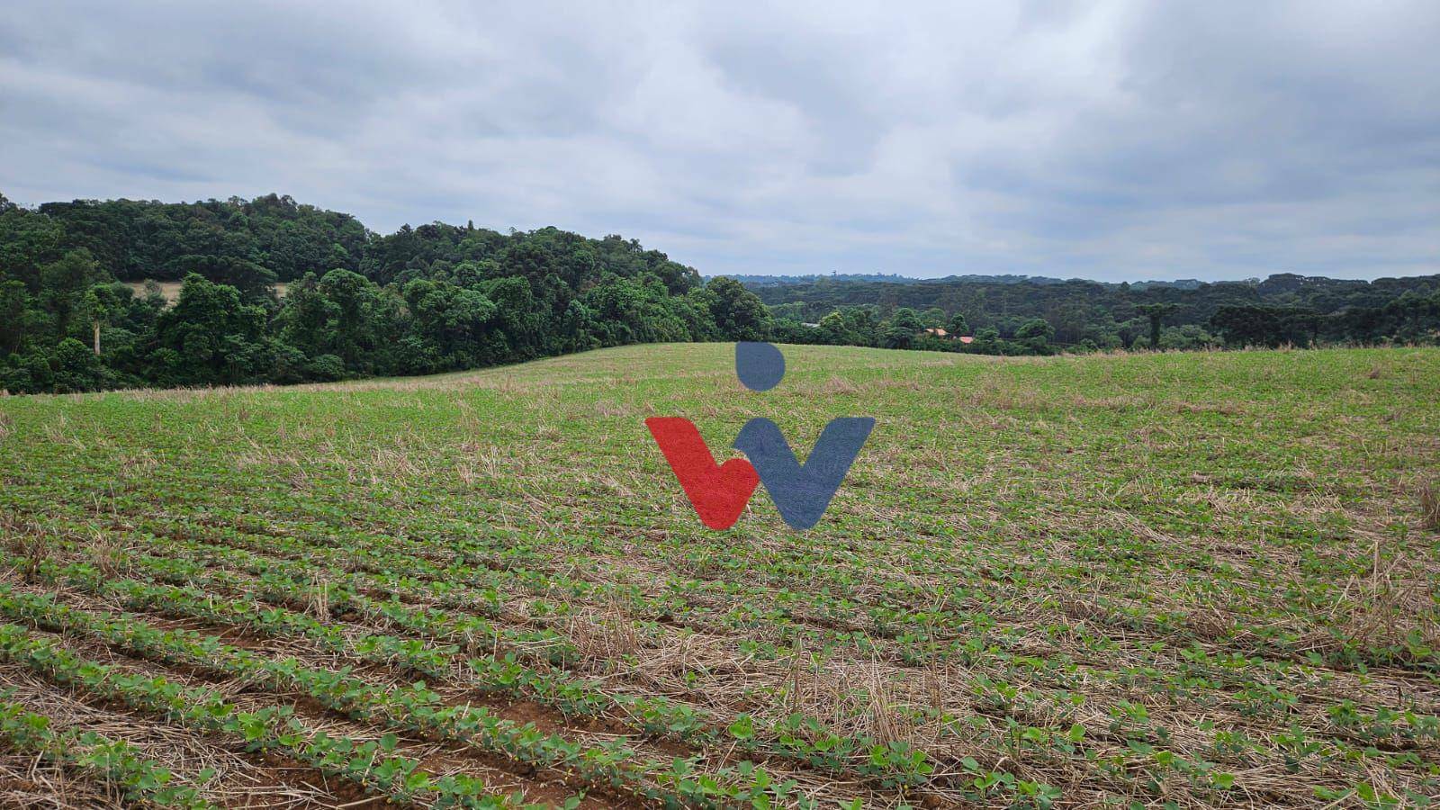 Fazenda à venda com 3 quartos, 1694000M2 - Foto 40