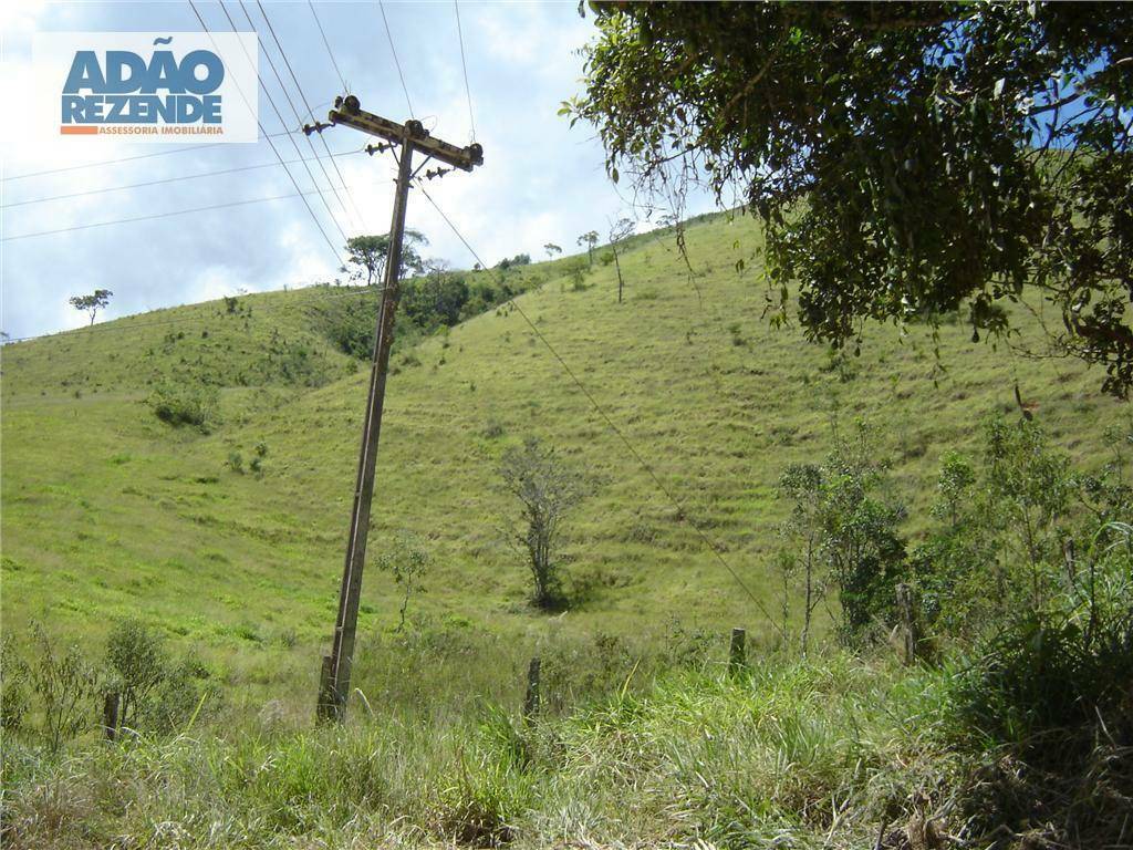 Fazenda à venda com 4 quartos, 1150000M2 - Foto 39