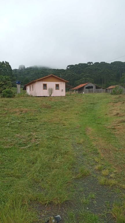 Fazenda-Sítio-Chácara, 3 hectares - Foto 1