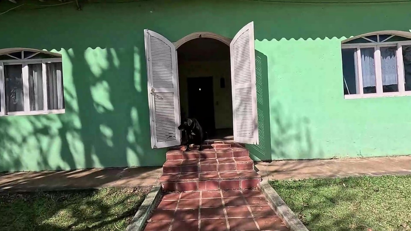 Sítio à venda com 3 quartos, 24000m² - Foto 10