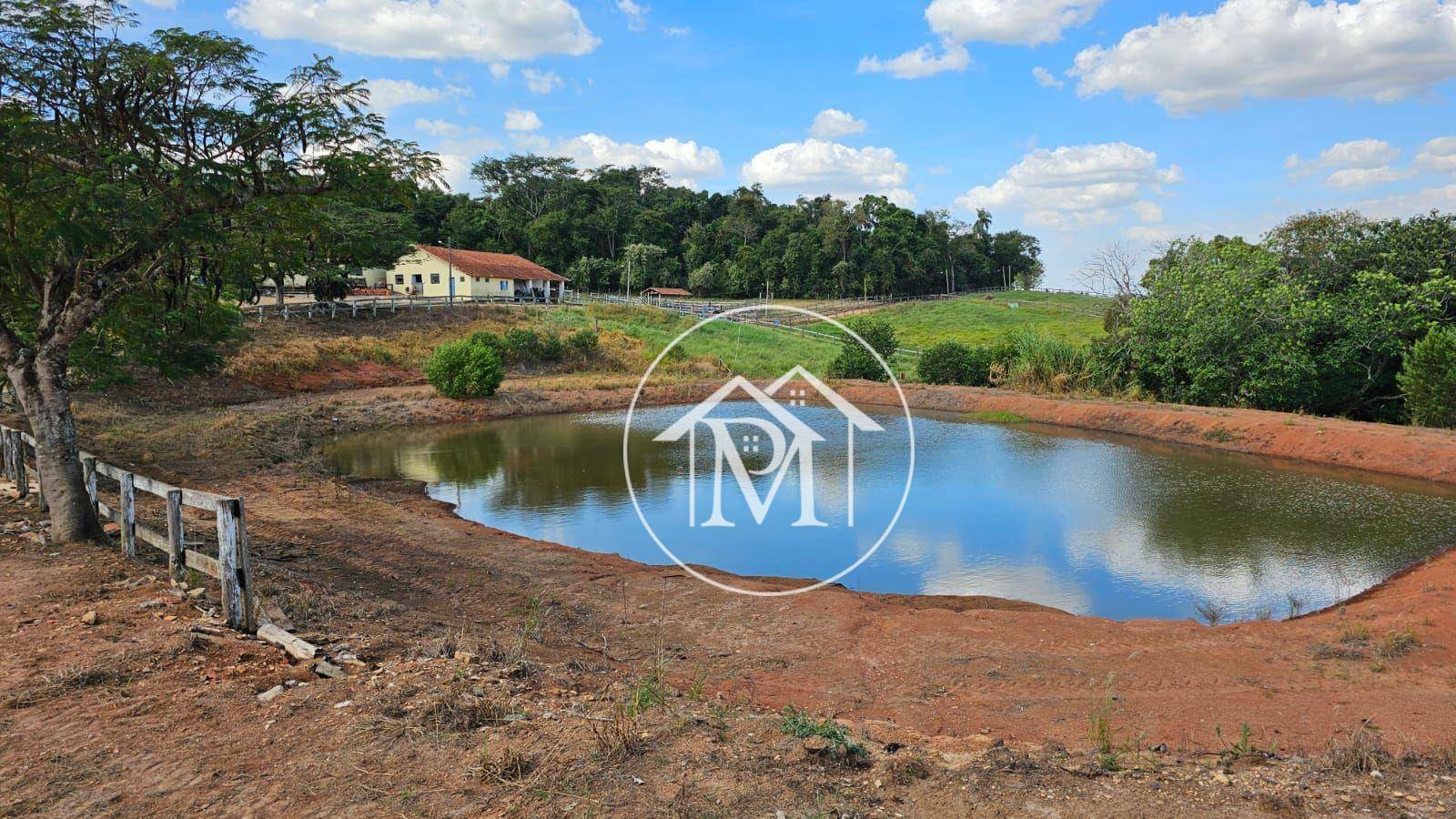 Haras e Área Rural Padrão à venda com 3 quartos, 242000M2 - Foto 14