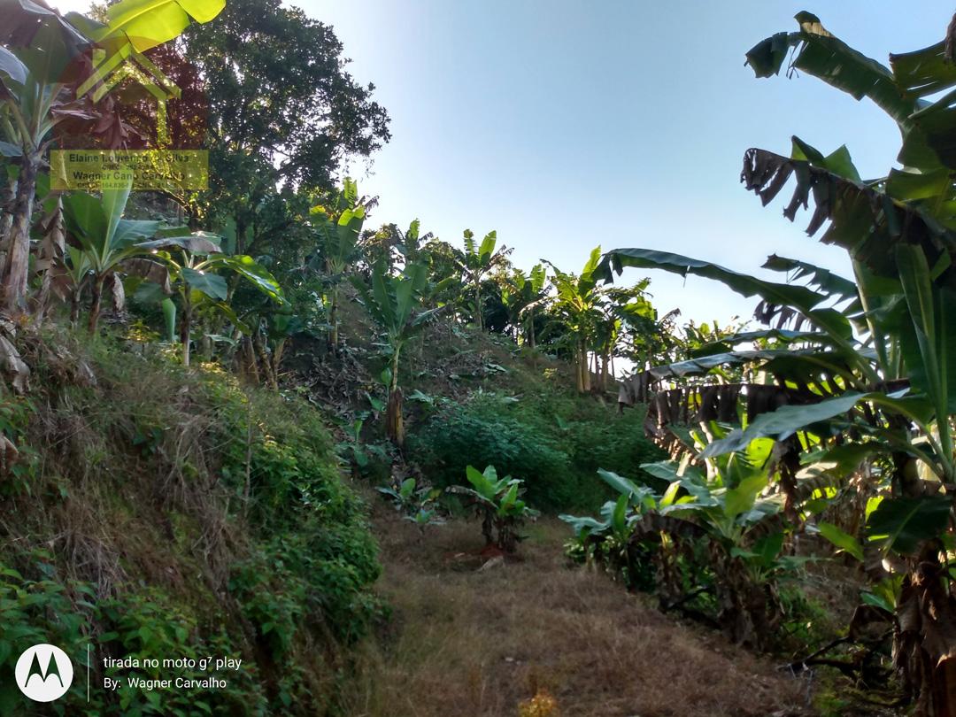 Fazenda à venda com 2 quartos, 8m² - Foto 13