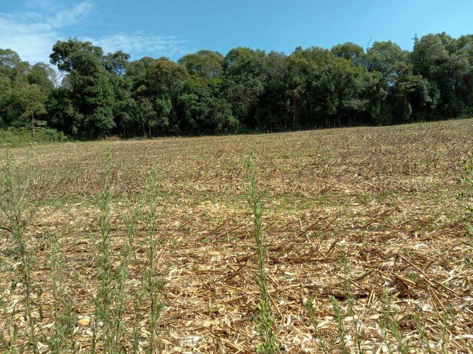 Fazenda à venda com 3 quartos, 130000m² - Foto 12