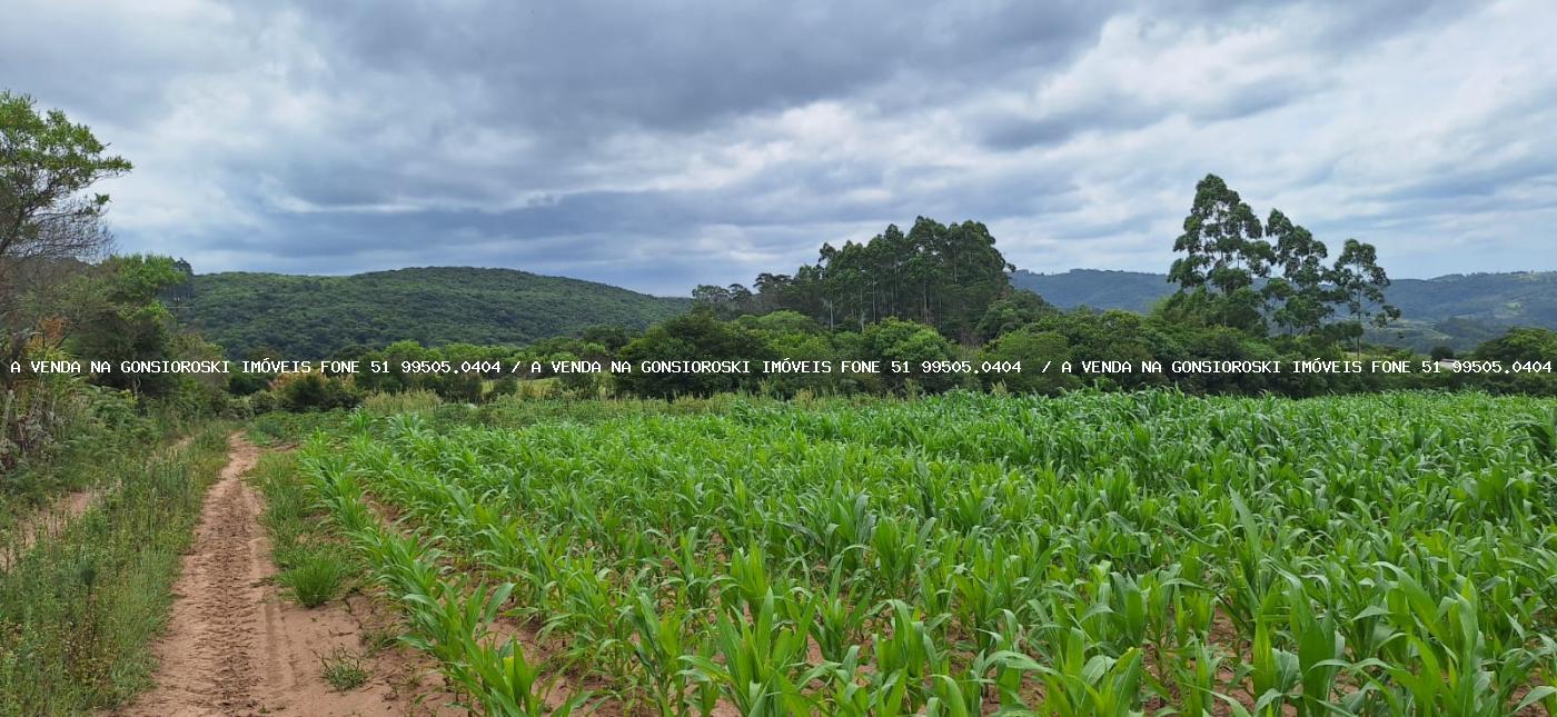 Loteamento e Condomínio à venda, 125000m² - Foto 6