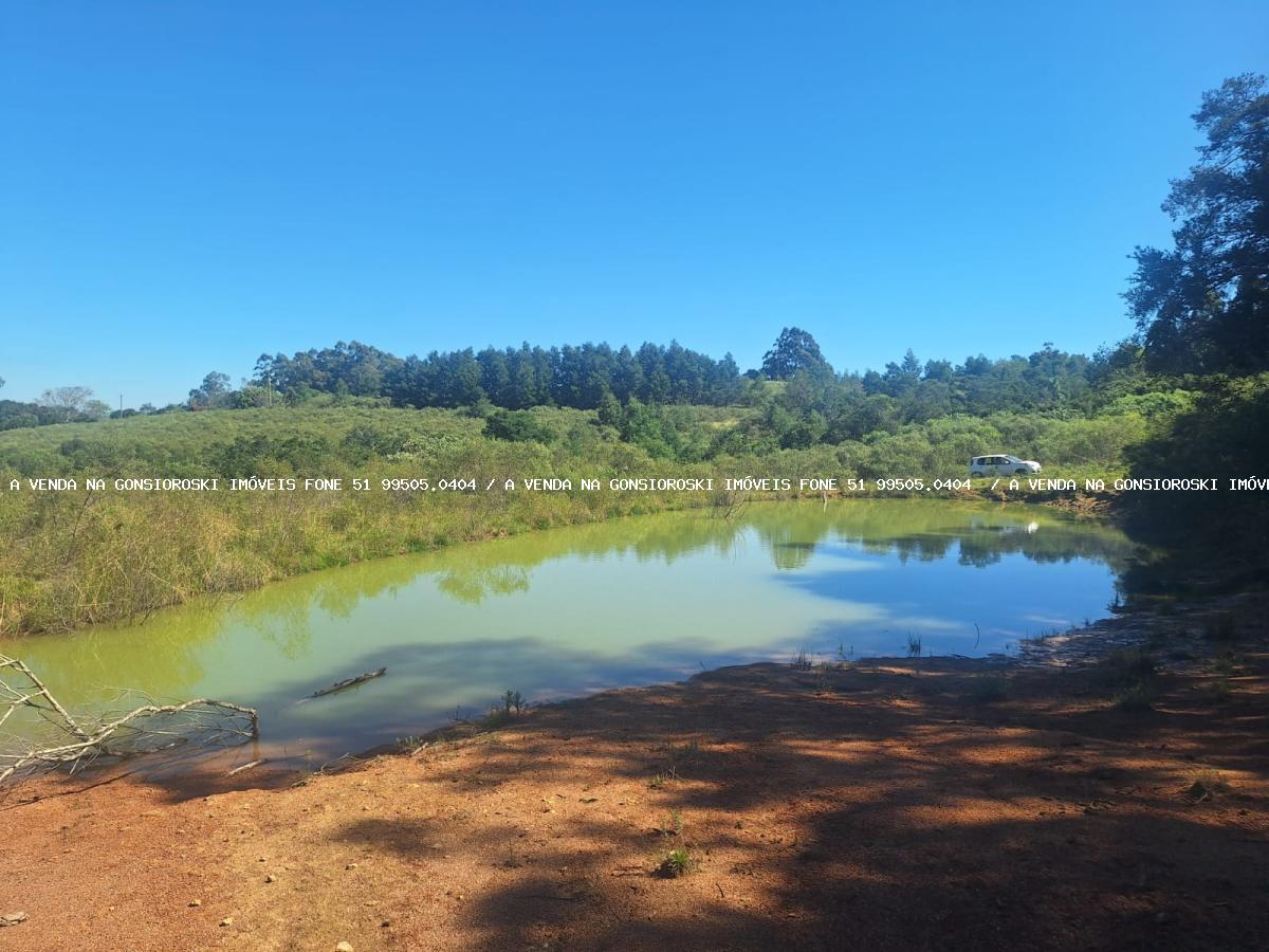 Sítio à venda com 3 quartos, 96709m² - Foto 31