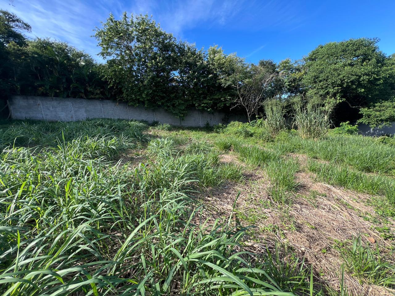 Terreno à venda, 455m² - Foto 19
