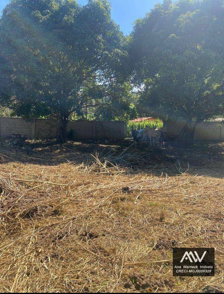 Terreno à venda, 1000M2 - Foto 5
