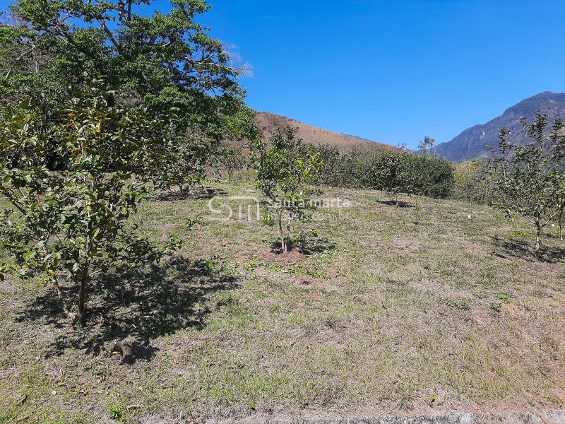 Fazenda à venda com 2 quartos, 1m² - Foto 10