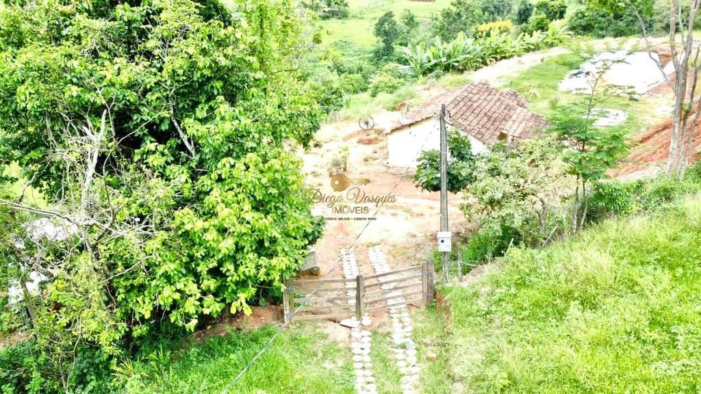 Sítio, 2 quartos, 7000 m² - Foto 4