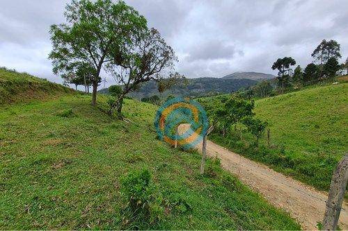 Chácara, 2 hectares - Foto 21