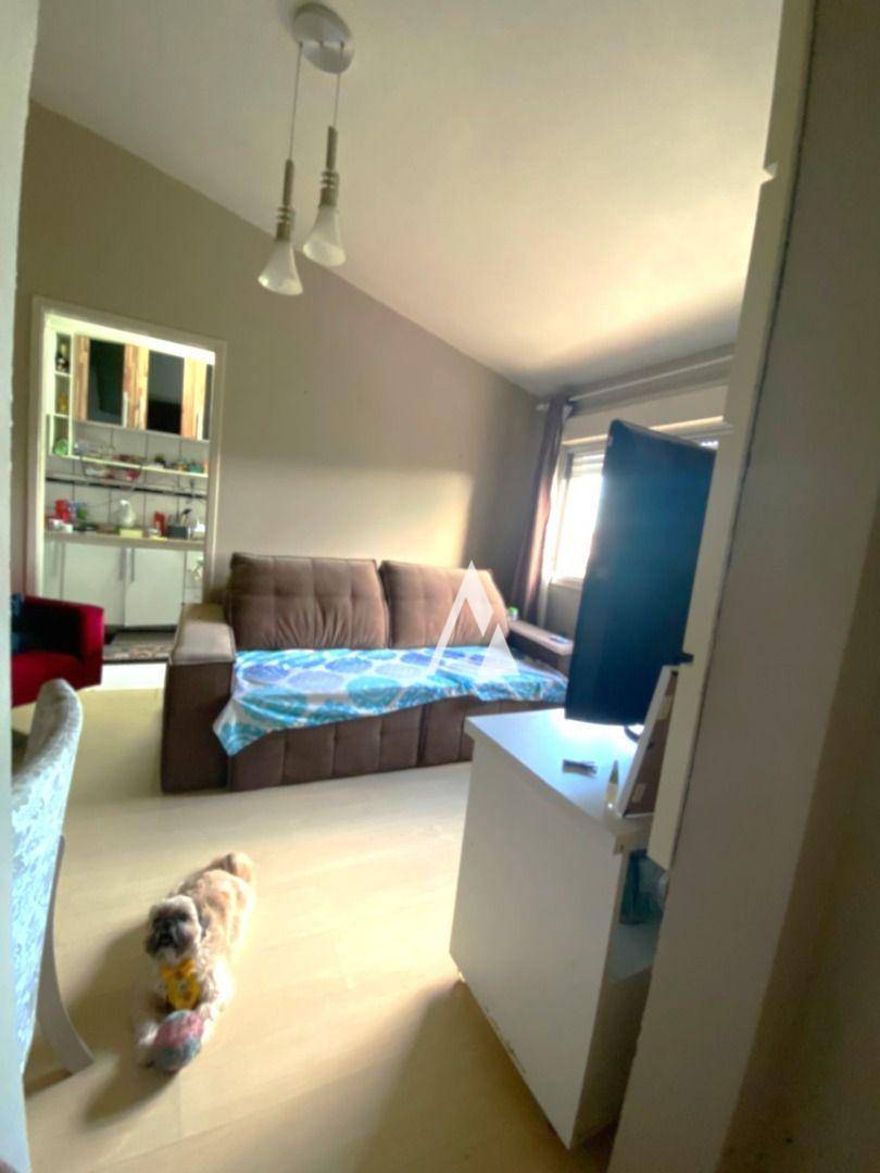 Apartamento à venda com 3 quartos, 55m² - Foto 6