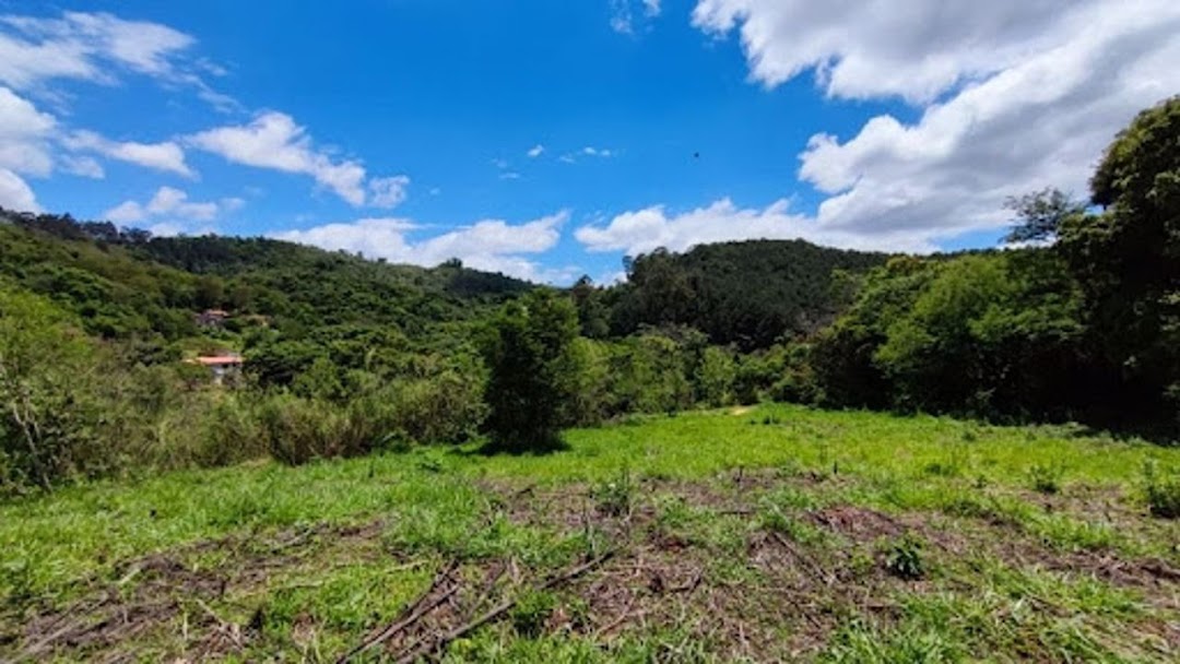 Terreno à venda, 2600M2 - Foto 6