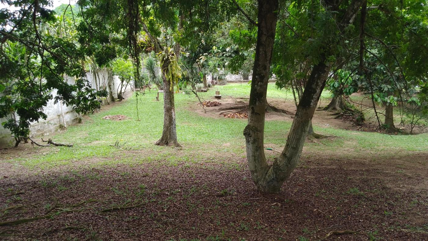 Sítio à venda, 10000m² - Foto 21