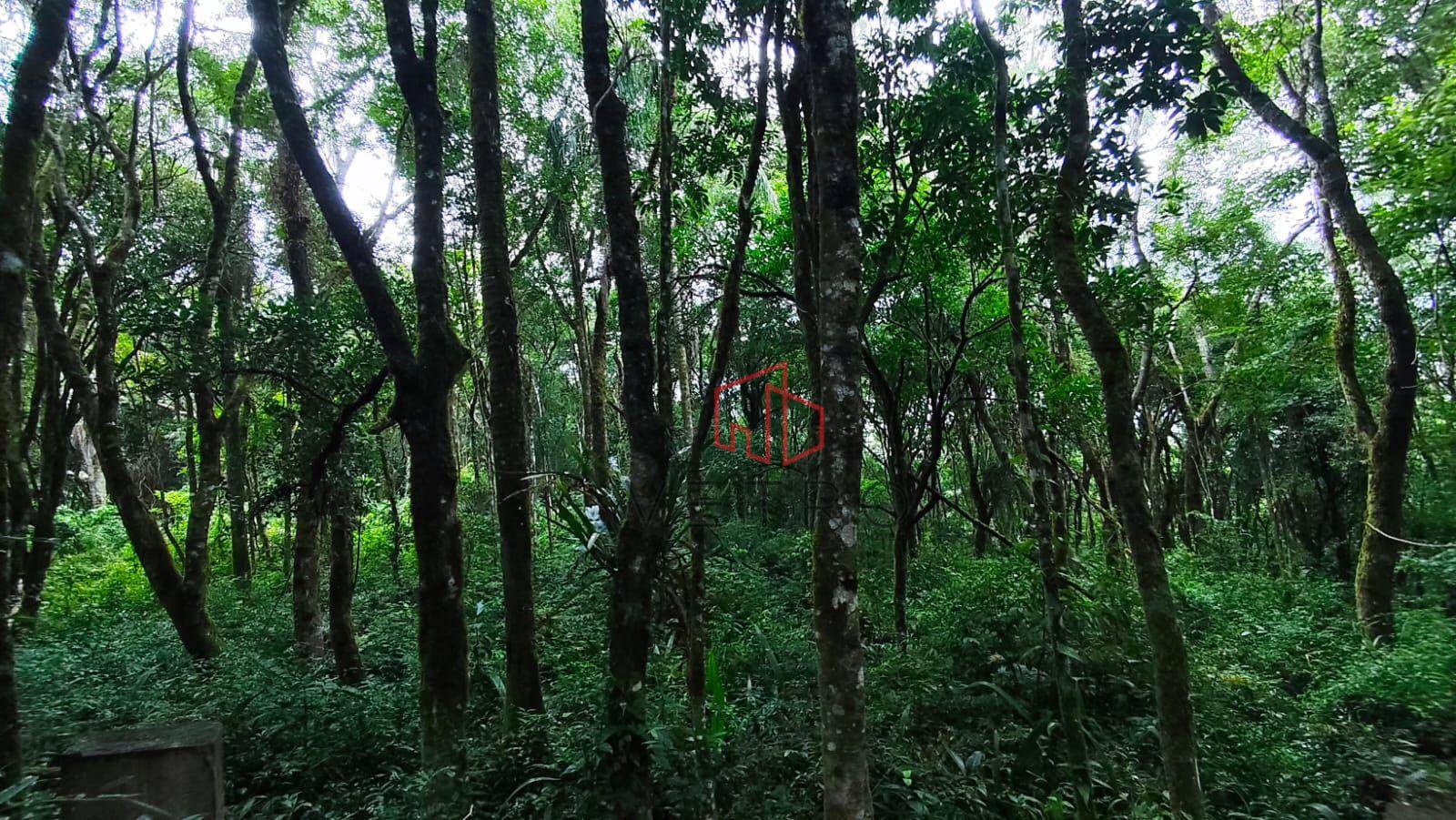 Sítio, 1 hectares - Foto 3