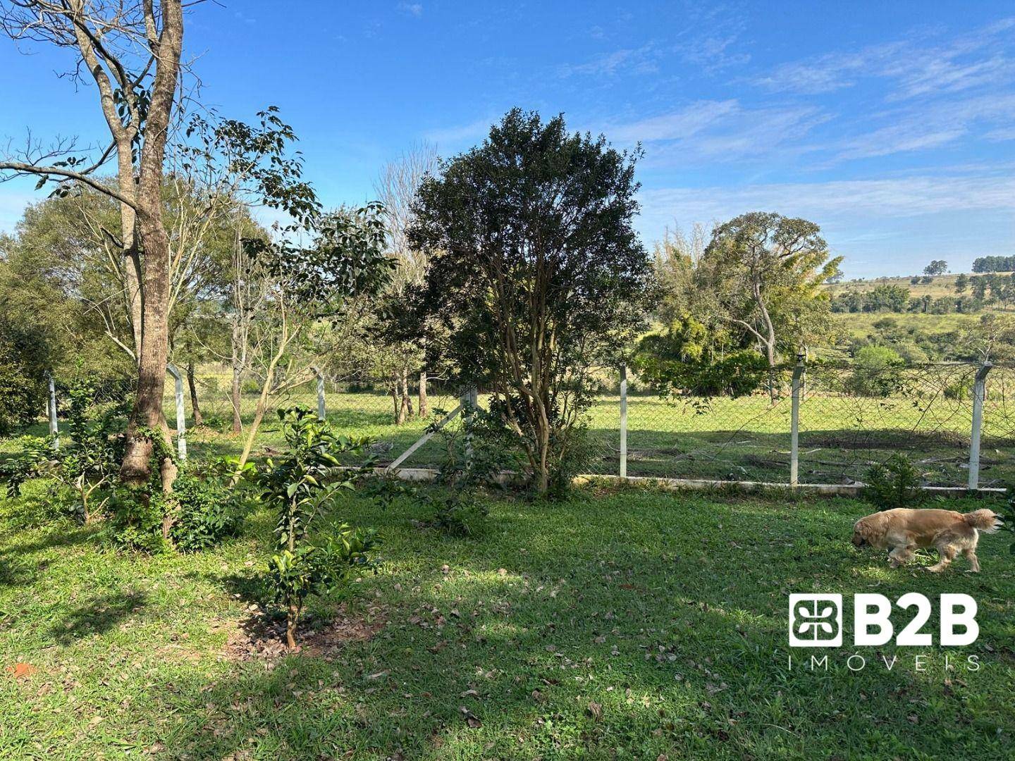 Sítio à venda com 6 quartos, 600m² - Foto 16