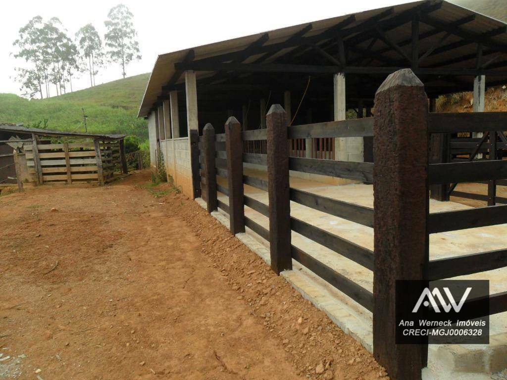 Chácara à venda com 5 quartos, 170000M2 - Foto 11