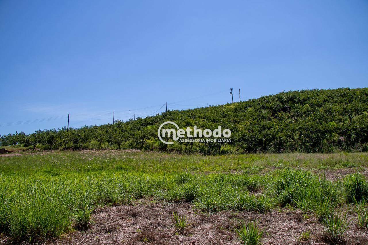 Terreno à venda, 56785M2 - Foto 11