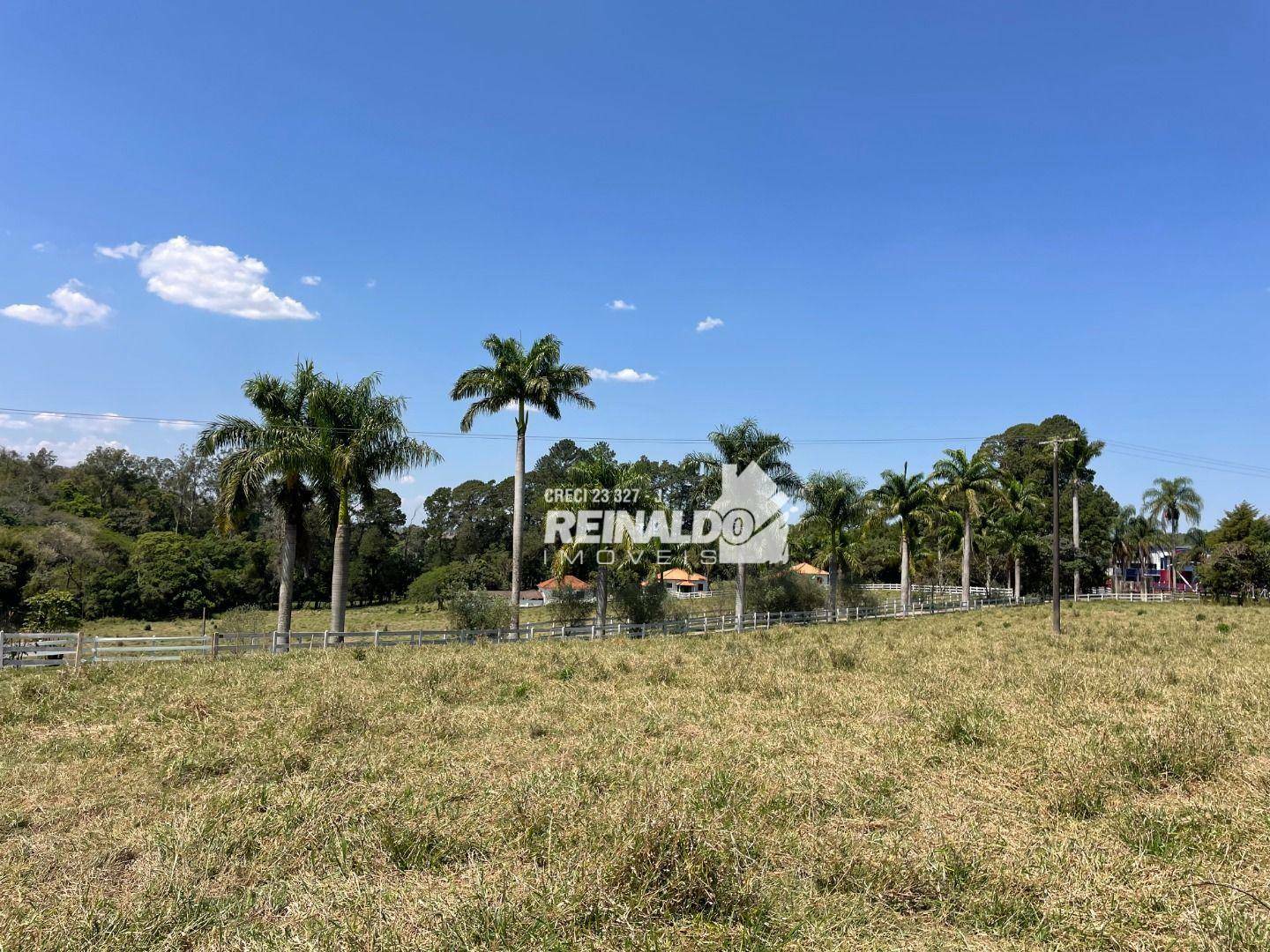 Haras e Área Rural Padrão à venda com 16 quartos, 2500m² - Foto 10