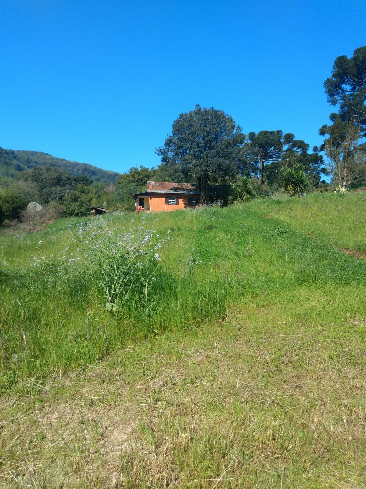 Sítio à venda com 1 quarto, 90m² - Foto 19