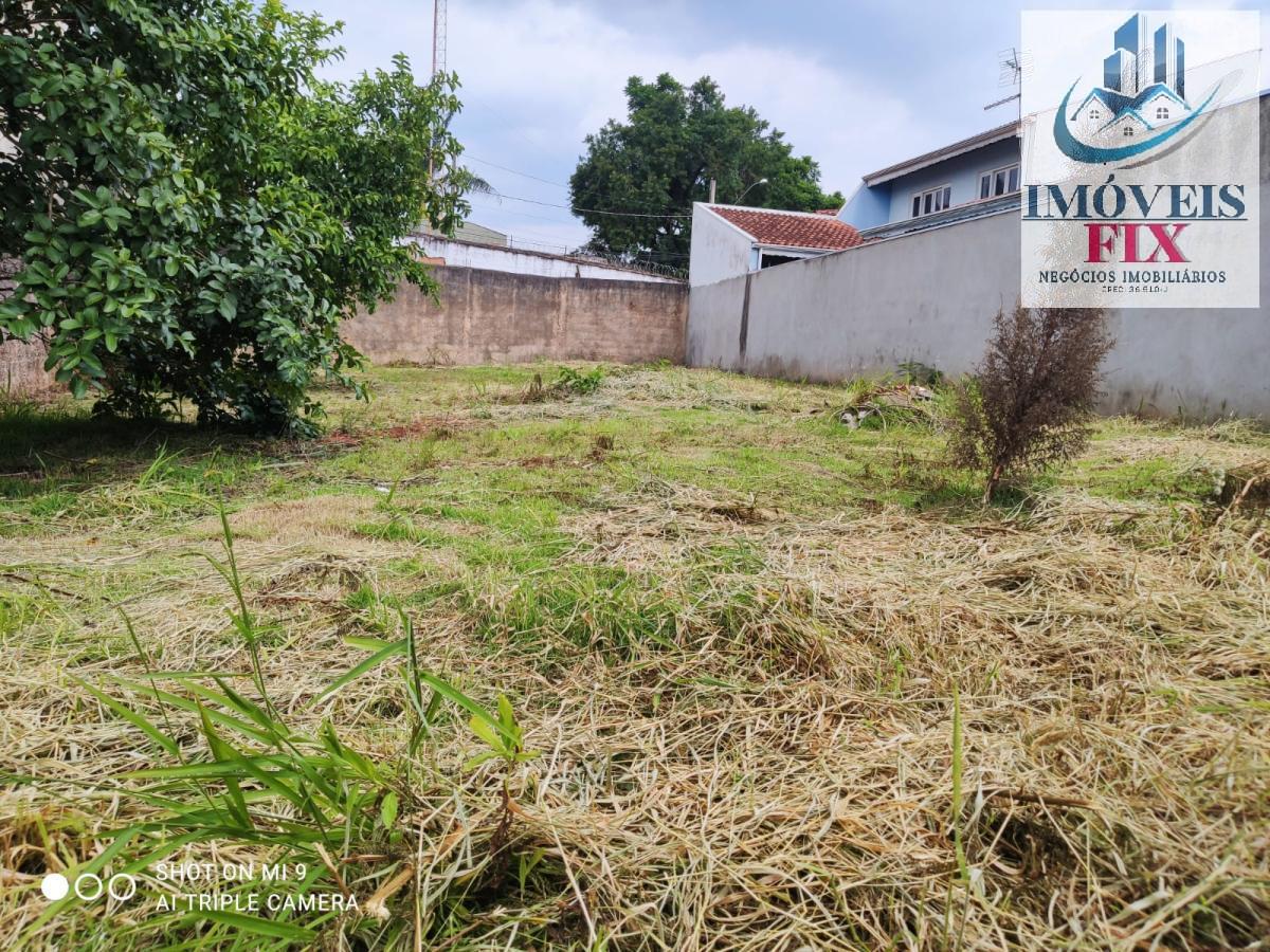 Terreno à venda, 250m² - Foto 3