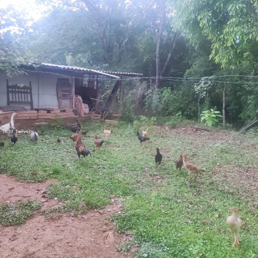 Fazenda à venda com 2 quartos, 3000m² - Foto 4