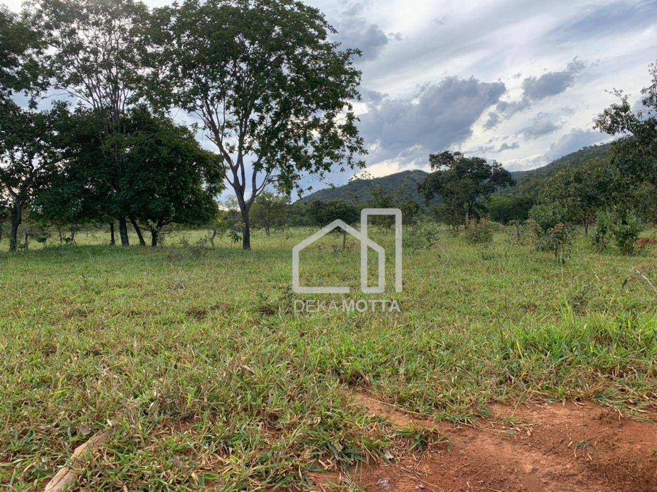 Fazenda à venda com 3 quartos, 21217700000M2 - Foto 24