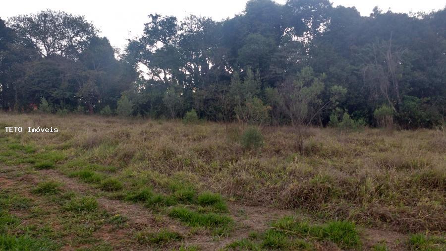 Terreno, 1433 m² - Foto 5