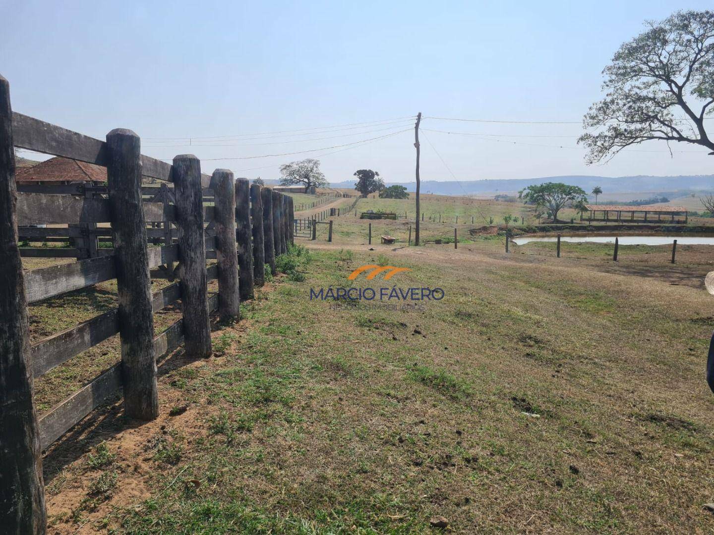 Fazenda à venda, 2299000M2 - Foto 7