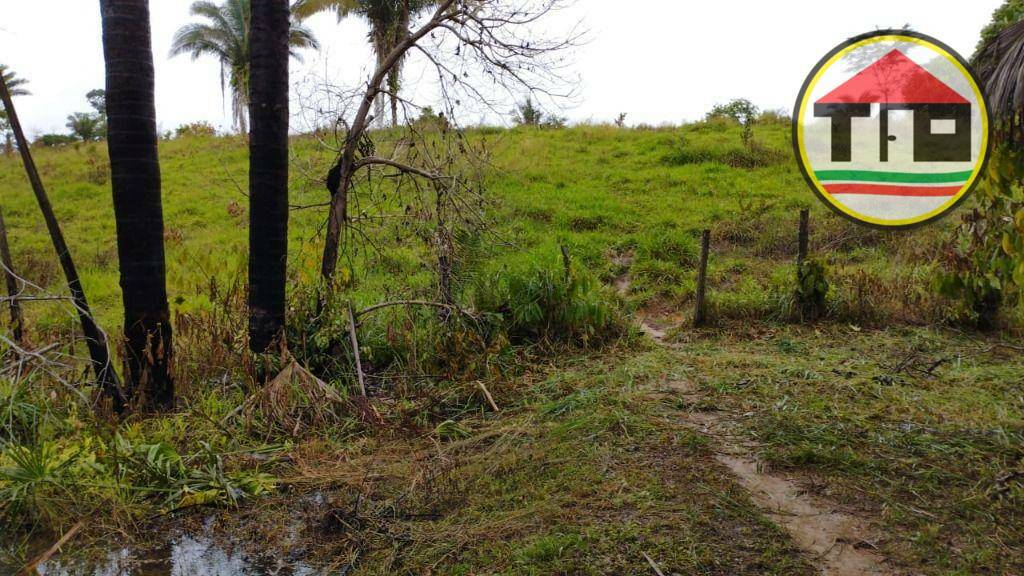 Fazenda à venda, 4840000M2 - Foto 2