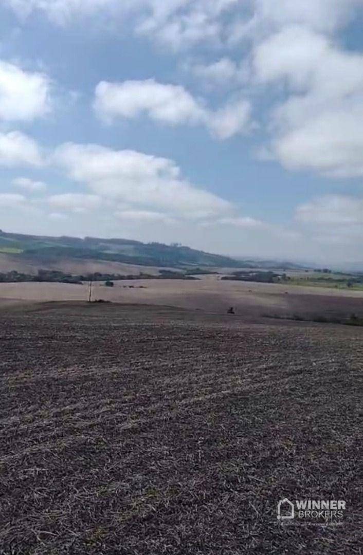 Fazenda à venda com 3 quartos, 3920000M2 - Foto 8