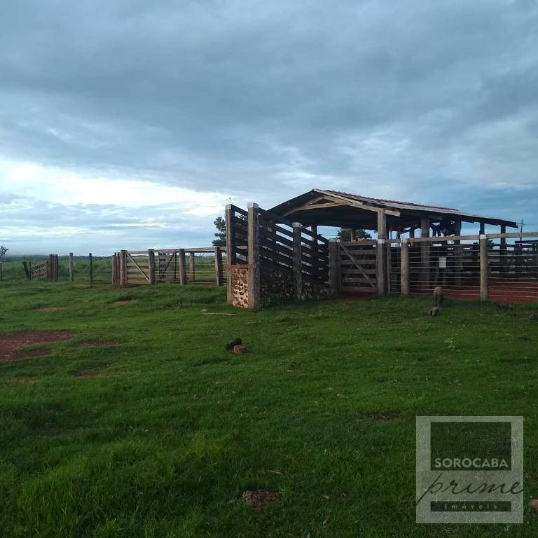 Fazenda-Sítio-Chácara, 4356 hectares - Foto 1