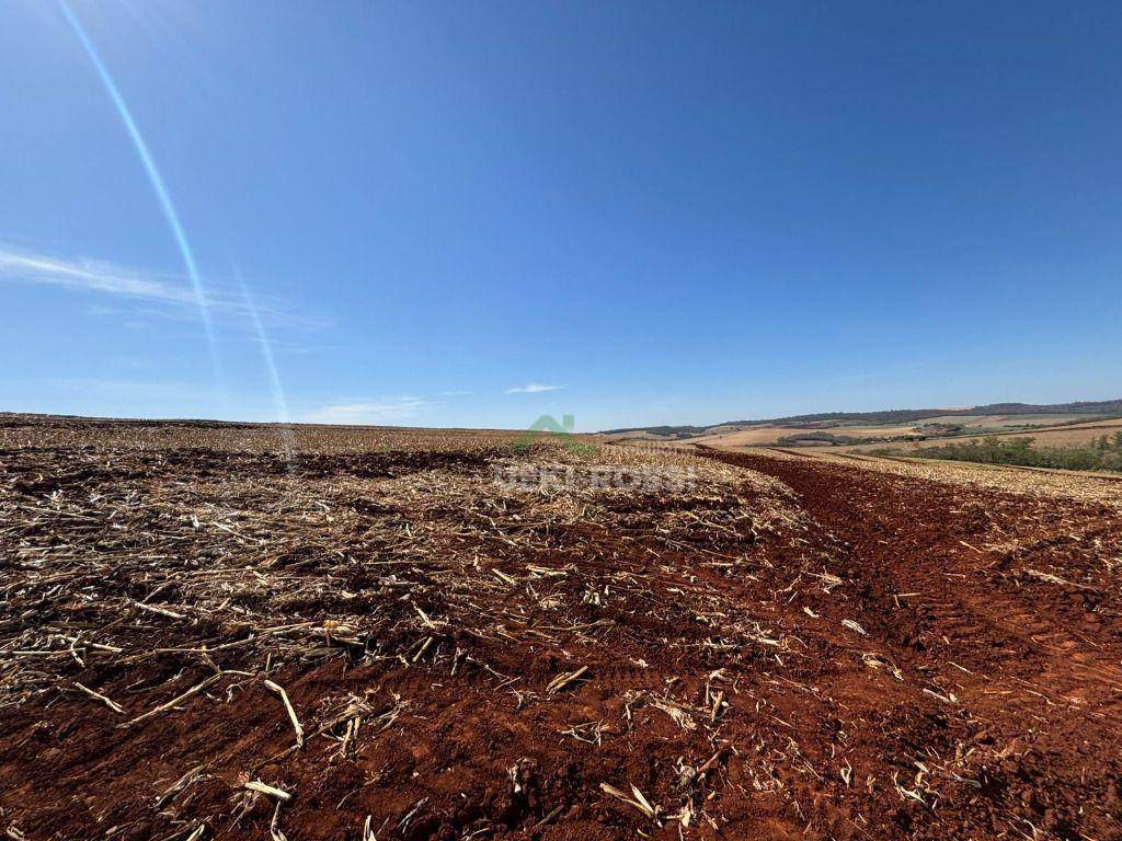 Fazenda, 232 hectares - Foto 13