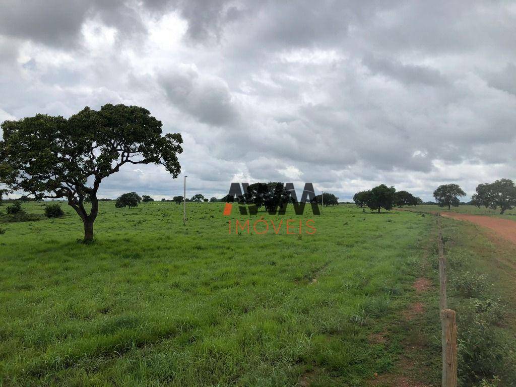 Fazenda à venda, 44286000M2 - Foto 7