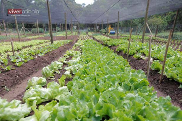 Loteamento e Condomínio à venda, 1003M2 - Foto 22