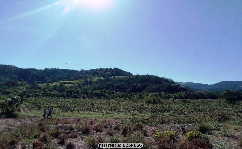 Fazenda à venda com 4 quartos, 120000m² - Foto 23