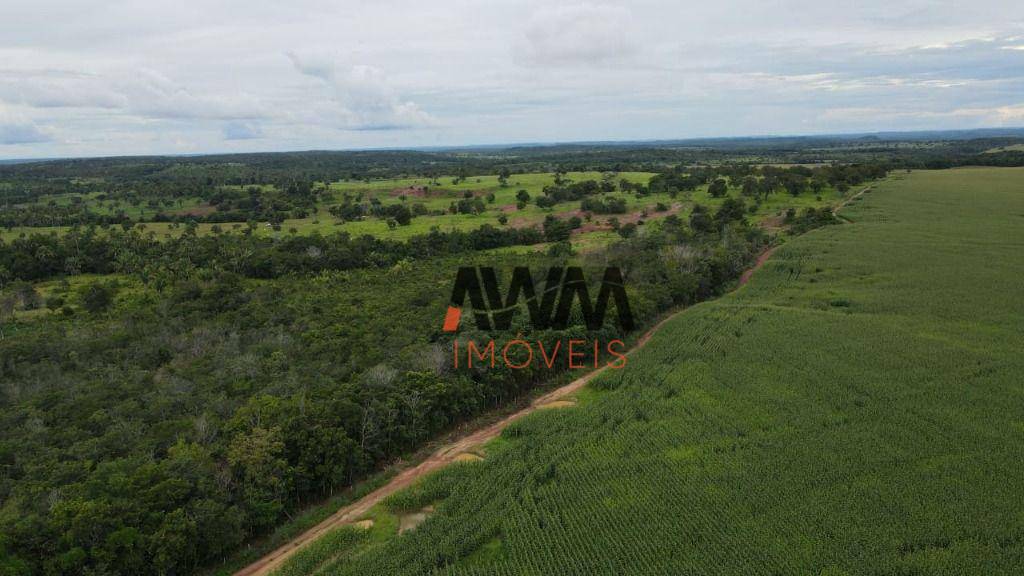 Fazenda à venda, 30008000M2 - Foto 18