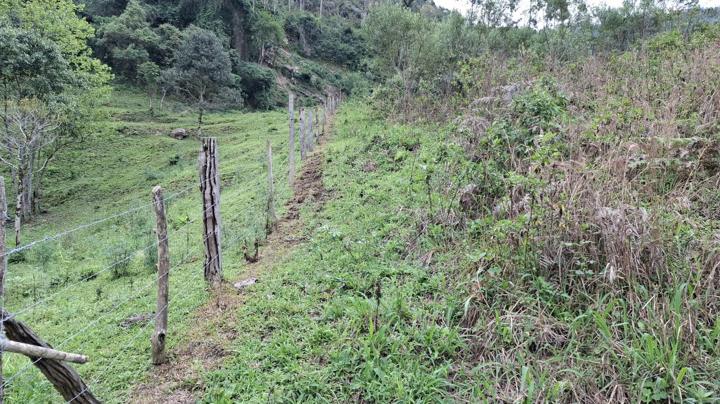 Fazenda à venda, 40000m² - Foto 21