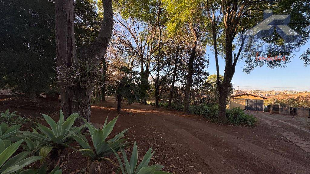 Sítio, 4 hectares - Foto 5