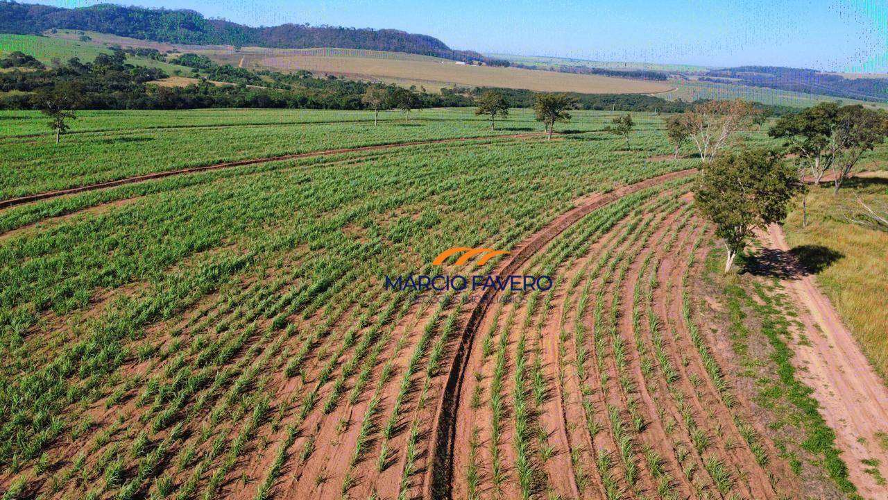 Fazenda, 605 hectares - Foto 4