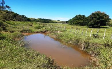 Fazenda à venda com 2 quartos, 210000m² - Foto 13