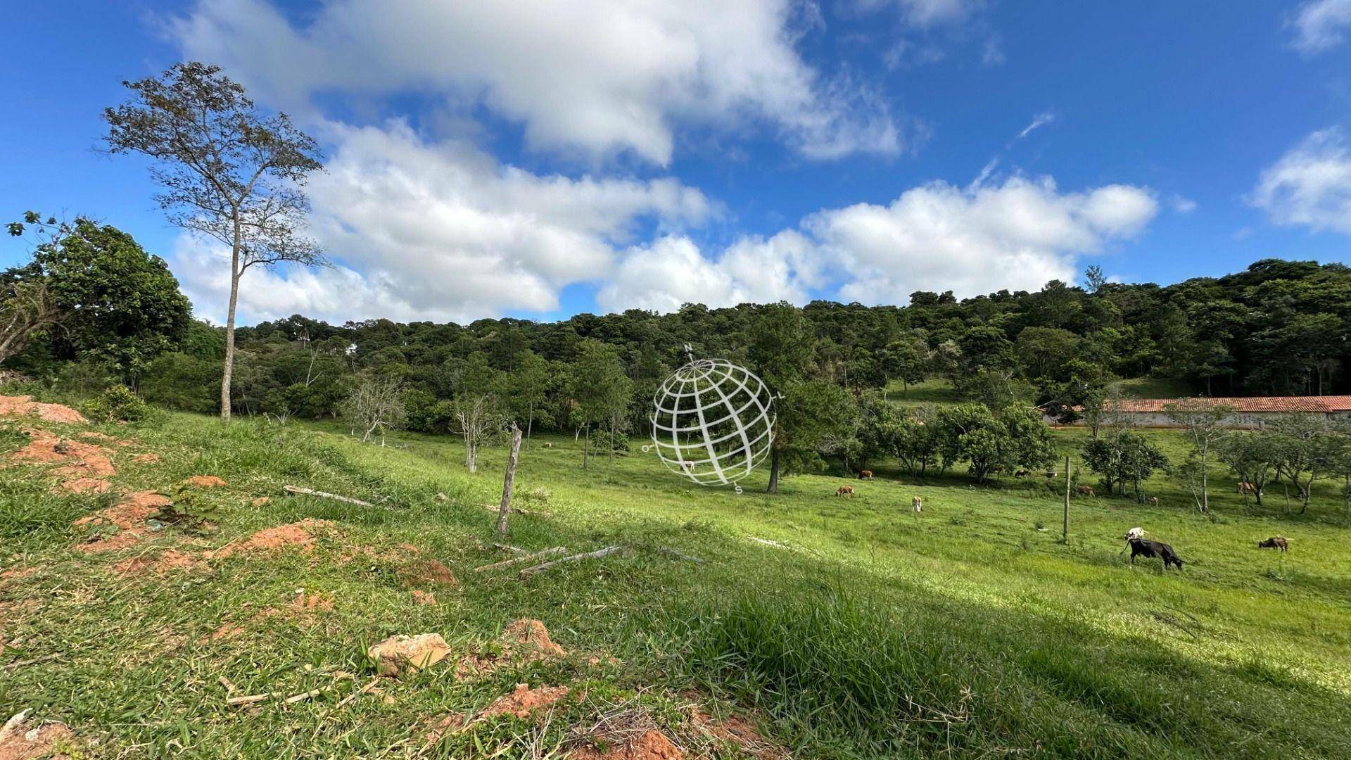 Terreno à venda, 17747M2 - Foto 10