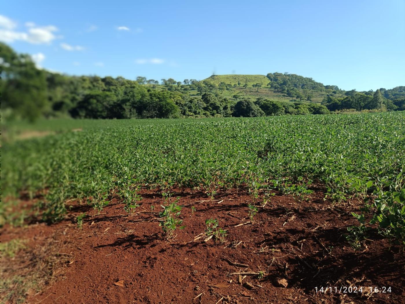 Fazenda à venda, 81160m² - Foto 13